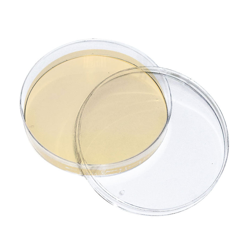 Petrischalen mit gelbem Sabouraud-2% Glucose-Agar-Nährboden, 10er-Pack