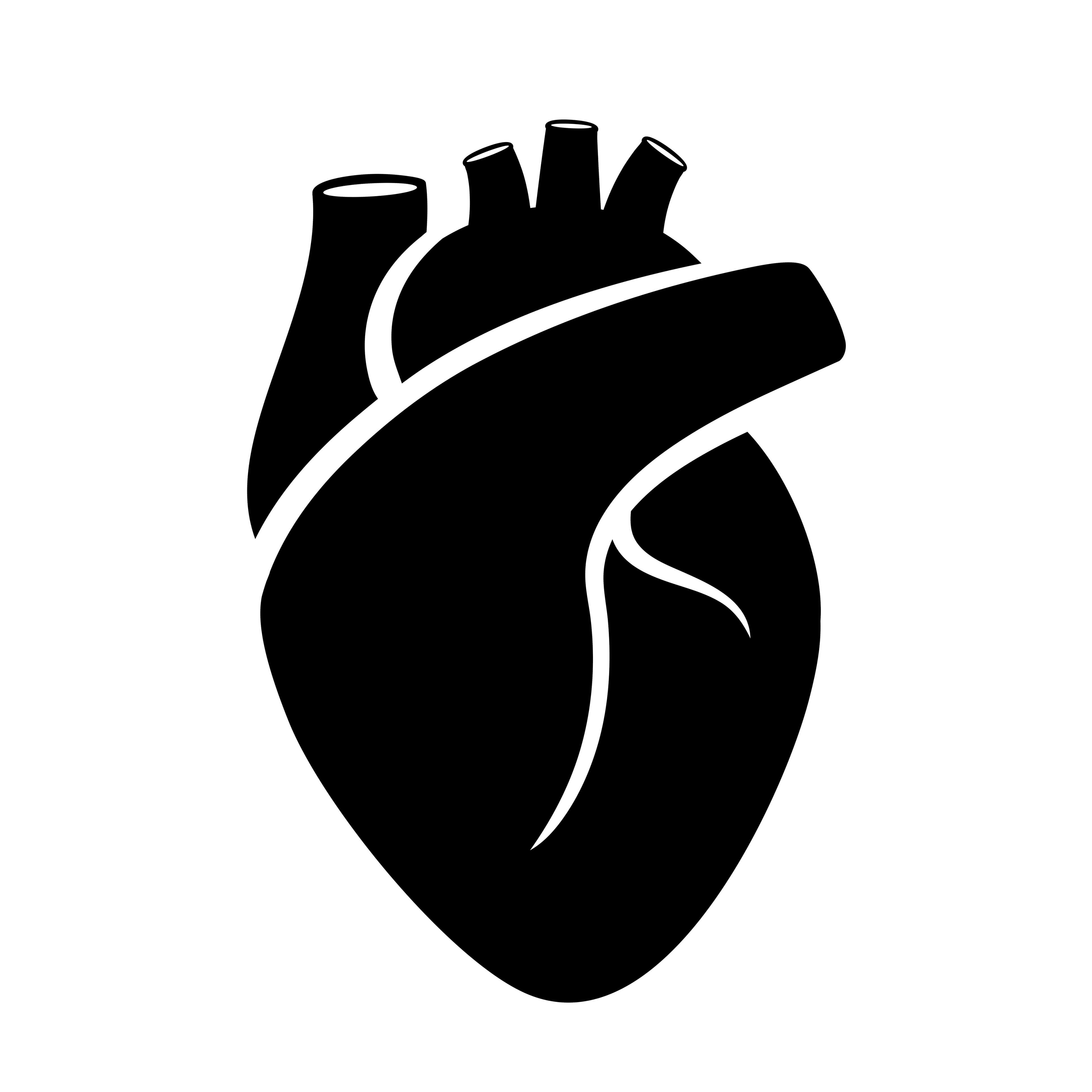 migliore circolazione sanguigna del cuore