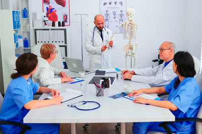 Scheletro anatomico per la formazione medica
